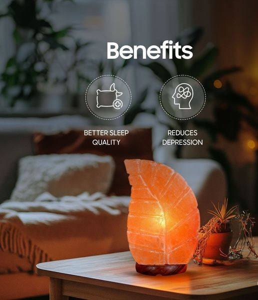 Leave Shape Himalayan Pink Salt Lamp