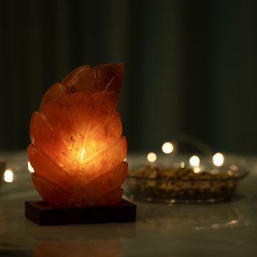 Leave Shape Himalayan Pink Salt Lamp