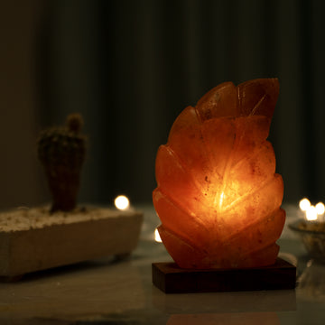 Leave Shape Himalayan Pink Salt Lamp